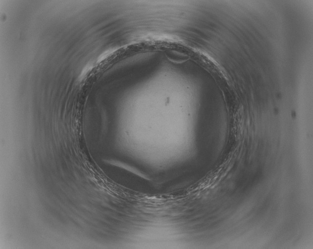 X0000060580919200511241337