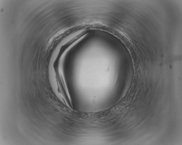 X0000060580920200511241337