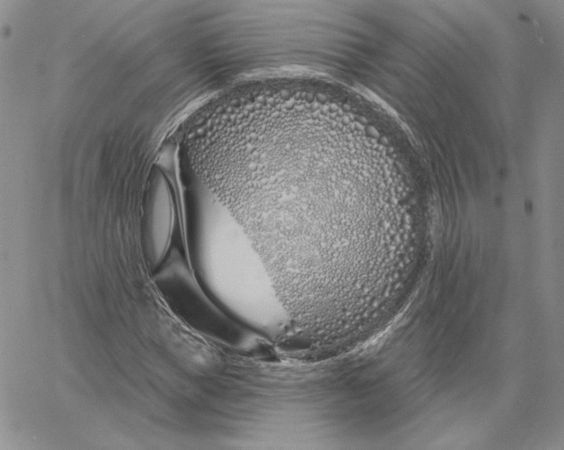 X0000060580921200511241337