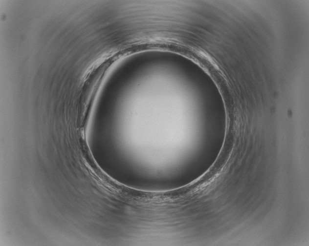 X0000060580922200511241337