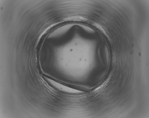 X0000060580923200511241337