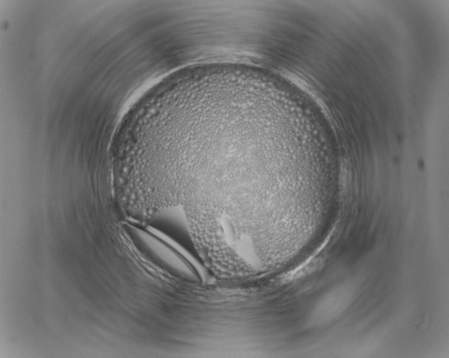 X0000060580925200511241337