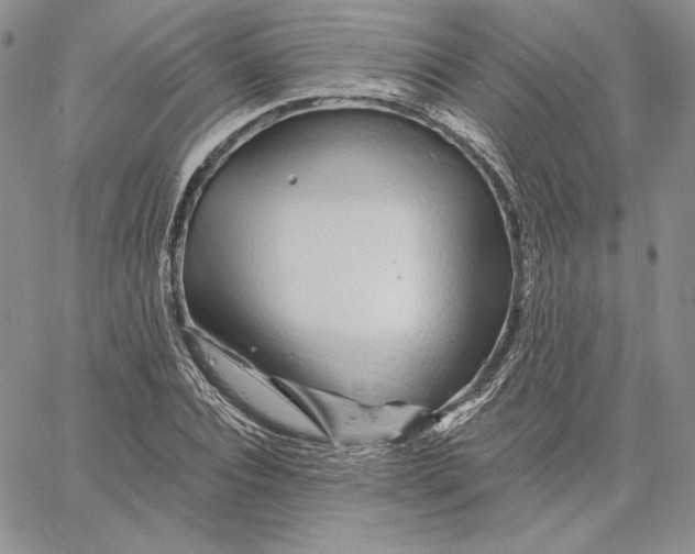 X0000060580928200511241337