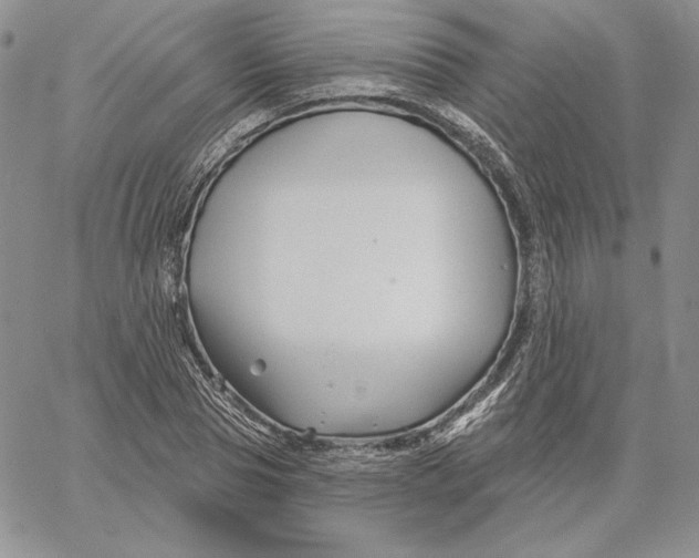 X0000060580929200511241337