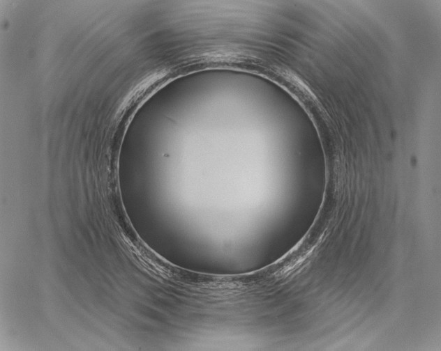 X0000060580930200511241337