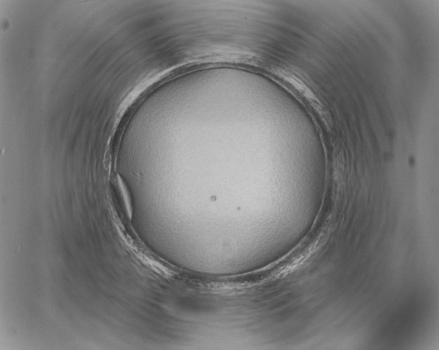 X0000060580933200511241337