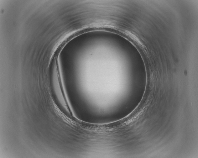 X0000060580934200511241337