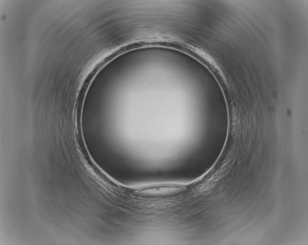 X0000060580935200511241337