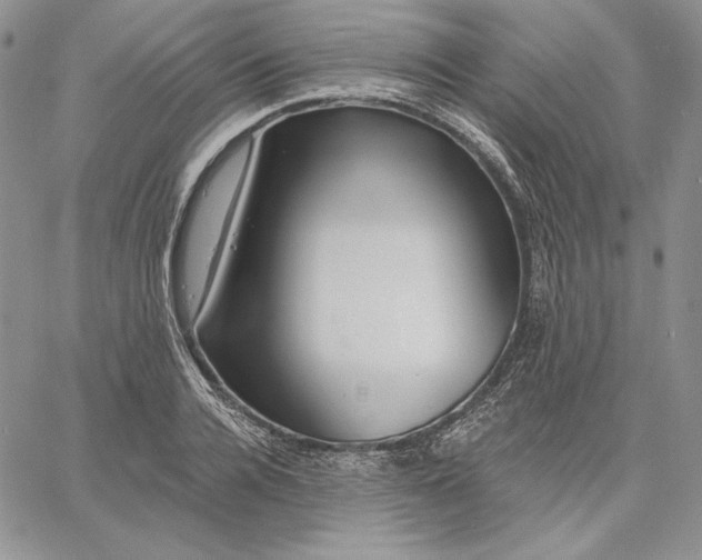 X0000060580936200511241337