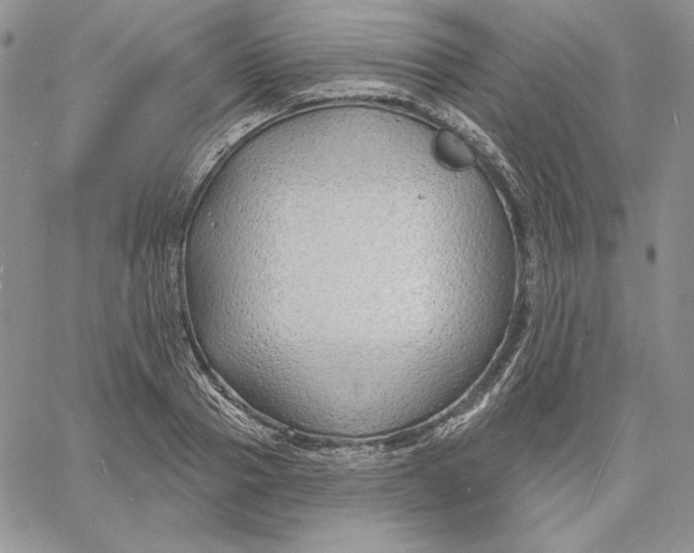 X0000060580937200511241337