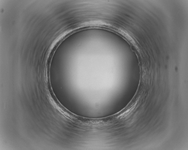 X0000060580939200511241338