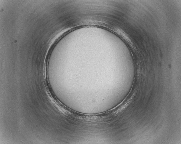 X0000060580940200511241338