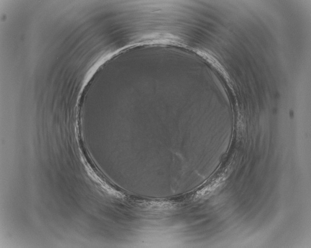 X0000060580941200511241338