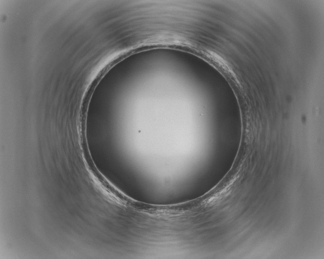 X0000060580942200511241338