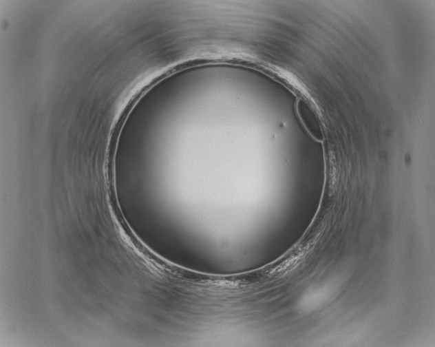 X0000060580943200511241338