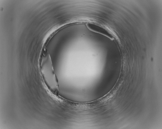 X0000060580944200511241338