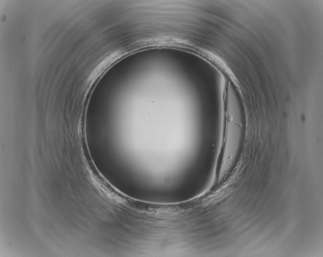 X0000060580946200511241338