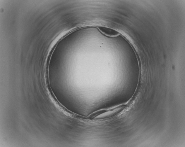 X0000060580949200511241338