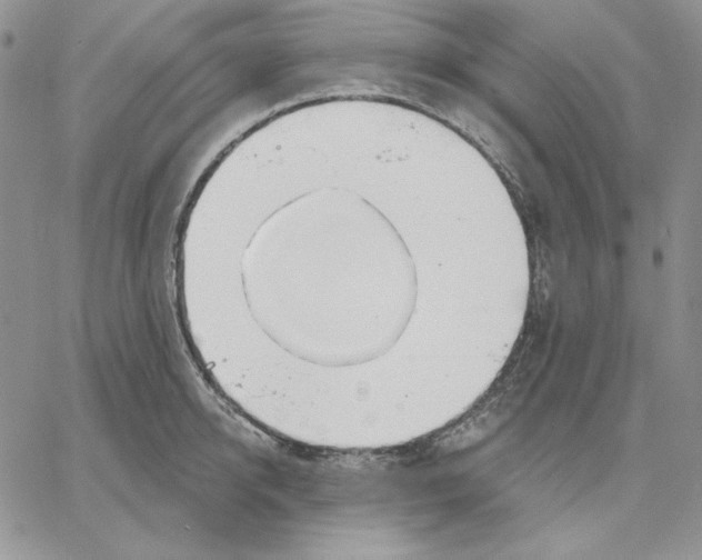 X0000060580950200511241338