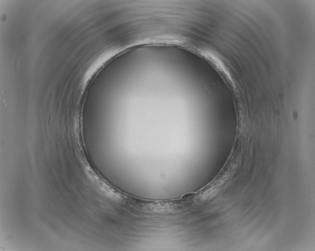 X0000060580952200511241338