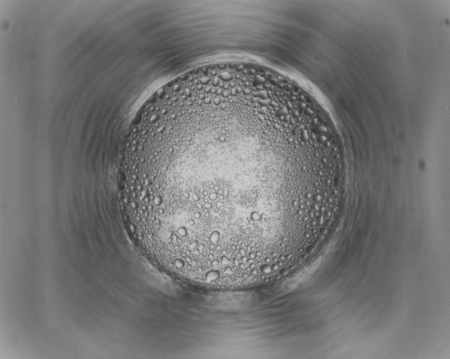 X0000060580953200511241338