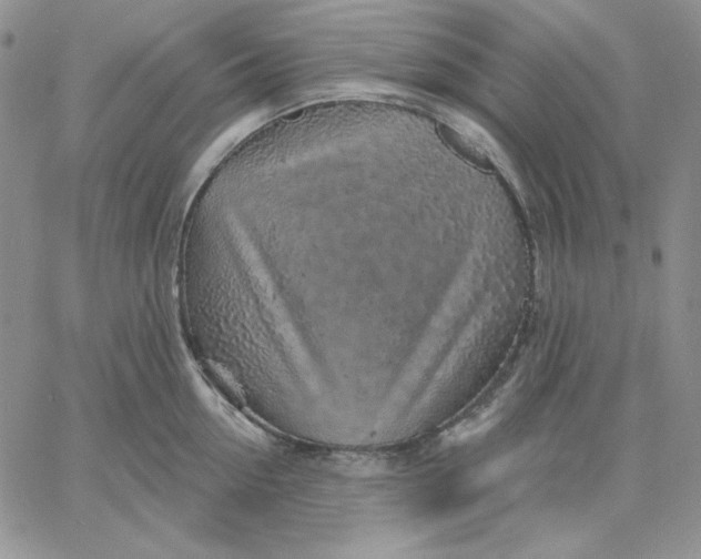 X0000060580954200511241338