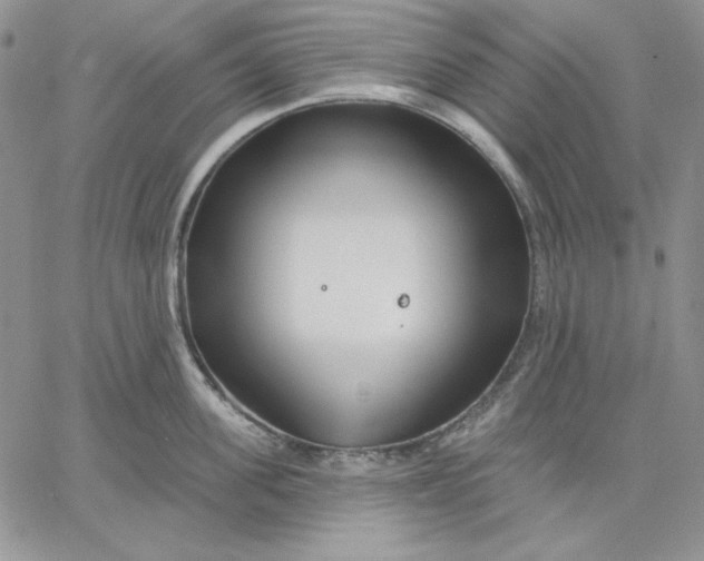 X0000060580955200511241338