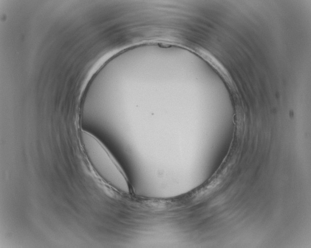 X0000060580956200511241338