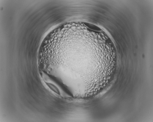 X0000060580957200511241338