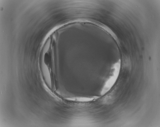 X0000060580958200511241338