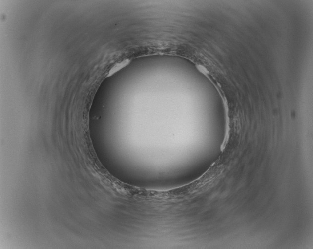 X0000060580961200511241337