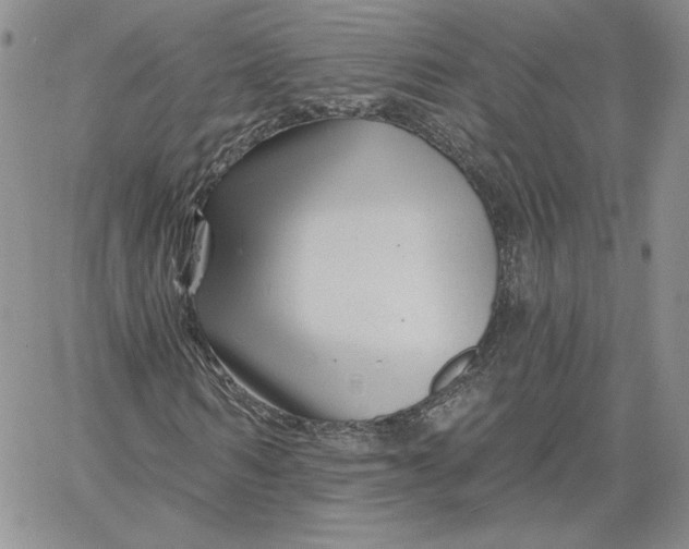 X0000060580962200511241337