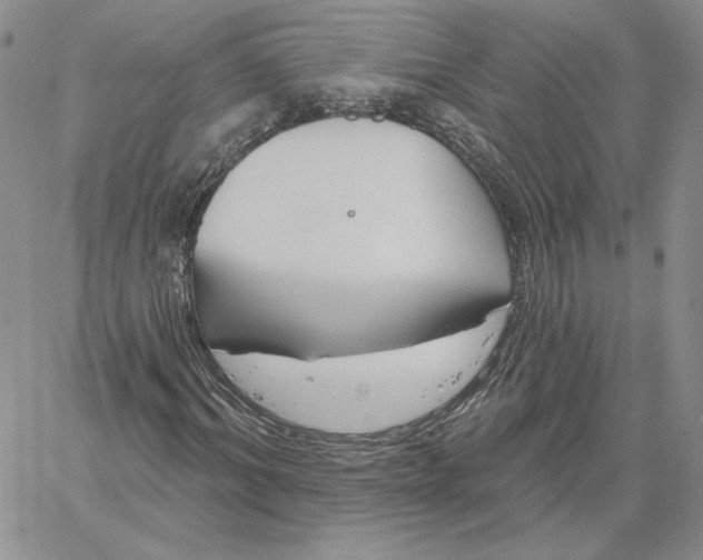 X0000060580964200511241337