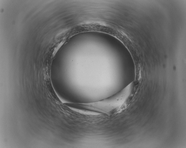 X0000060580965200511241337