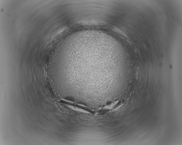 X0000060580966200511241337