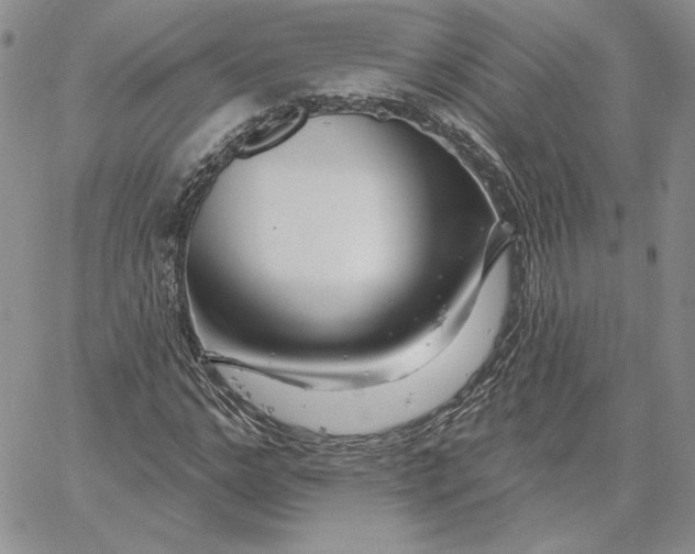 X0000060580968200511241337