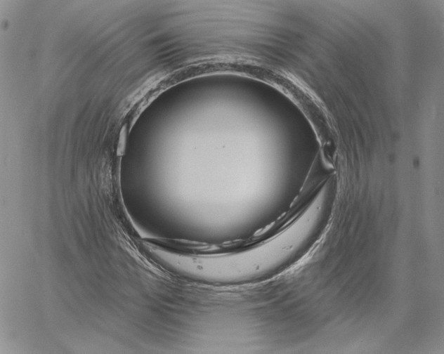 X0000060580969200511241337