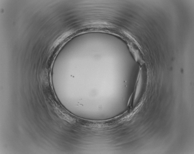 X0000060580970200511241337