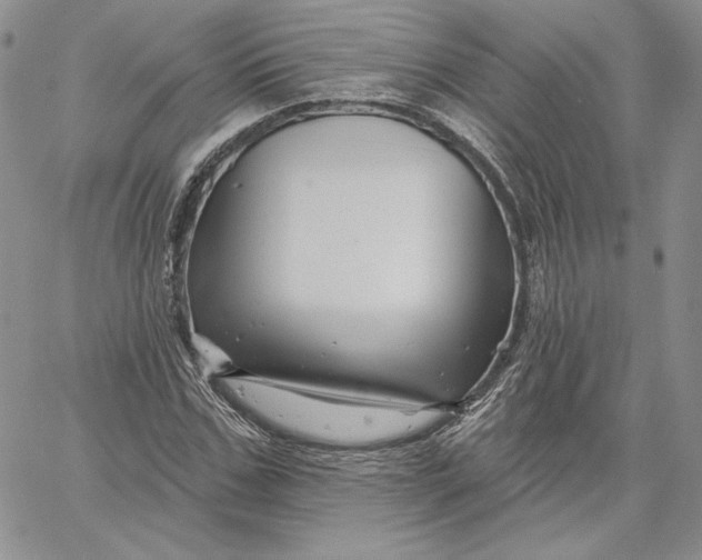 X0000060580971200511241337