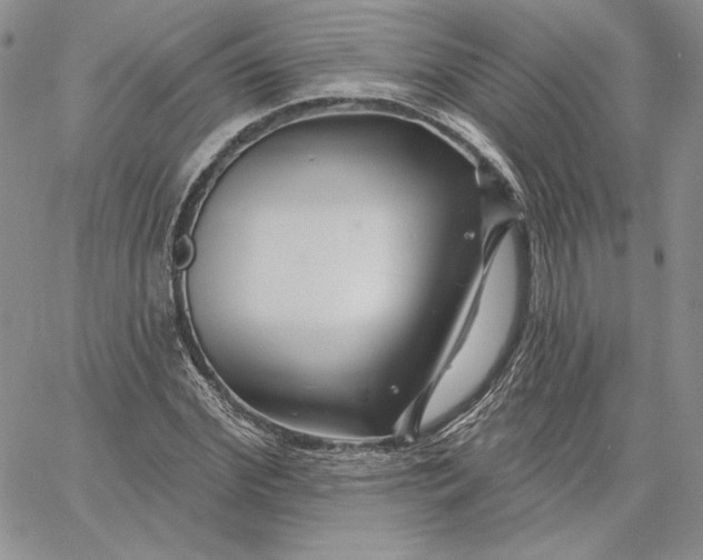 X0000060580972200511241337