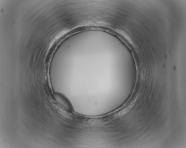 X0000060580974200511241337