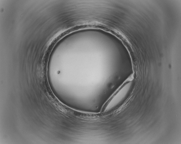 X0000060580975200511241337