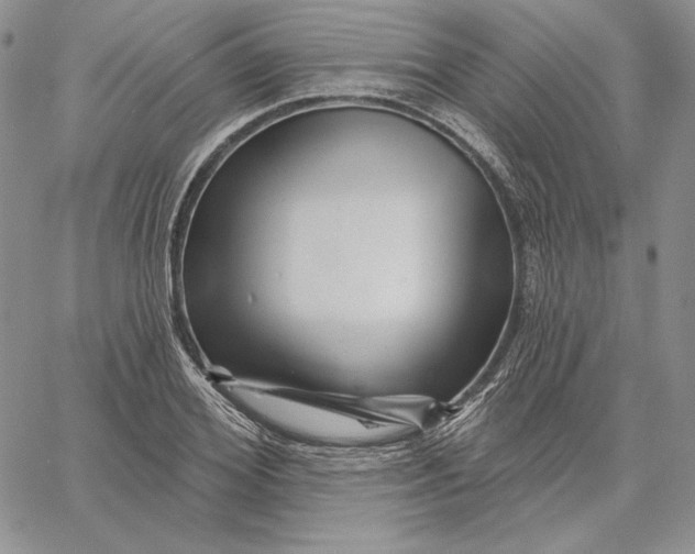 X0000060580980200511241337