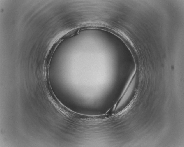 X0000060580981200511241337