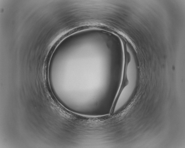 X0000060580983200511241337