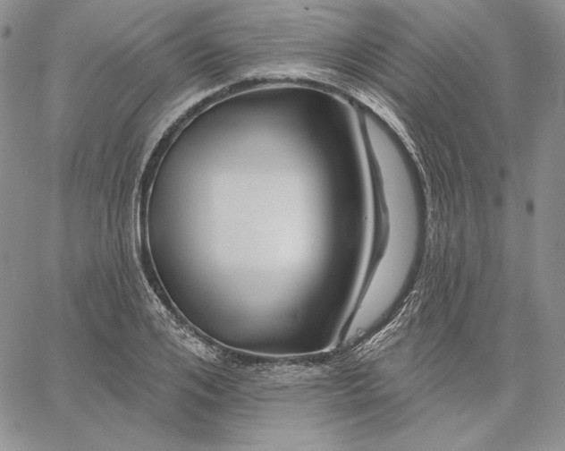 X0000060580984200511241337