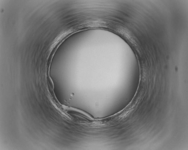 X0000060580986200511241337