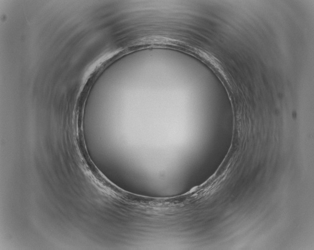 X0000060580987200511241337