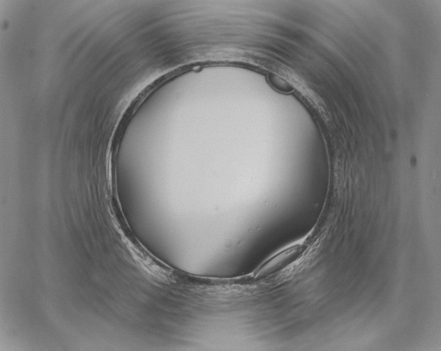 X0000060580988200511241337