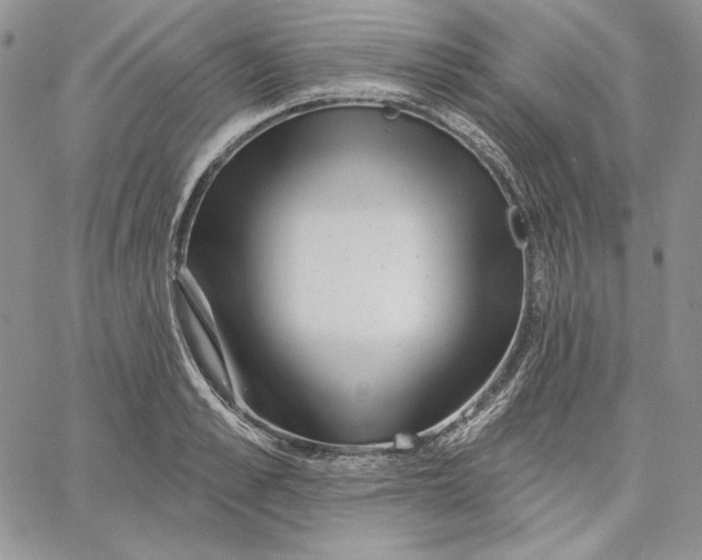 X0000060580989200511241337